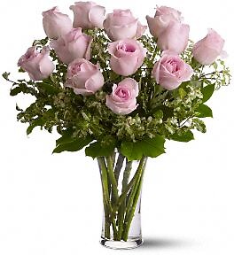 A Dozen Pink Roses